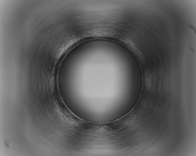 X0000101660488200807241421