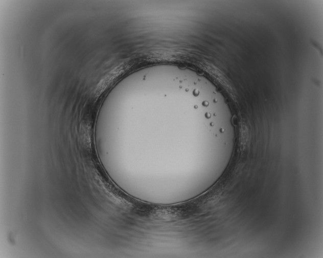 X0000101660489200807241421