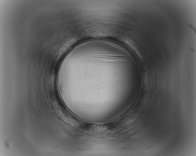 X0000101660491200807241421