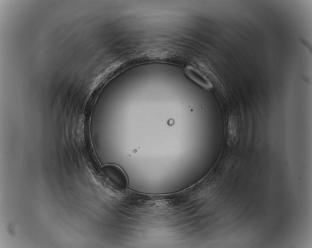 X0000101660492200807241421