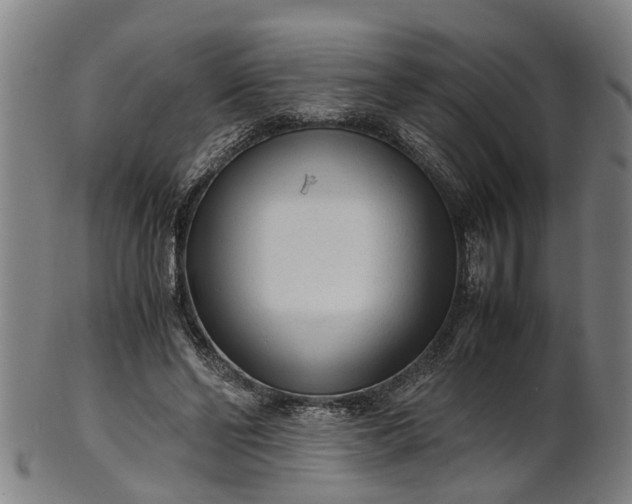 X0000101660494200807241421