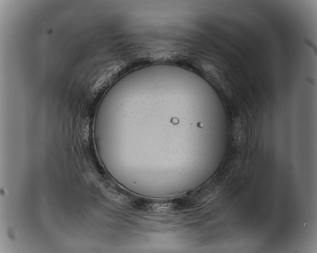 X0000101660495200807241421