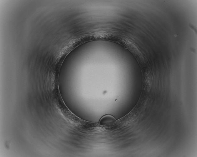 X0000101660496200807241421