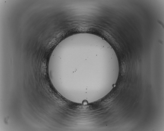 X0000101660497200807241421