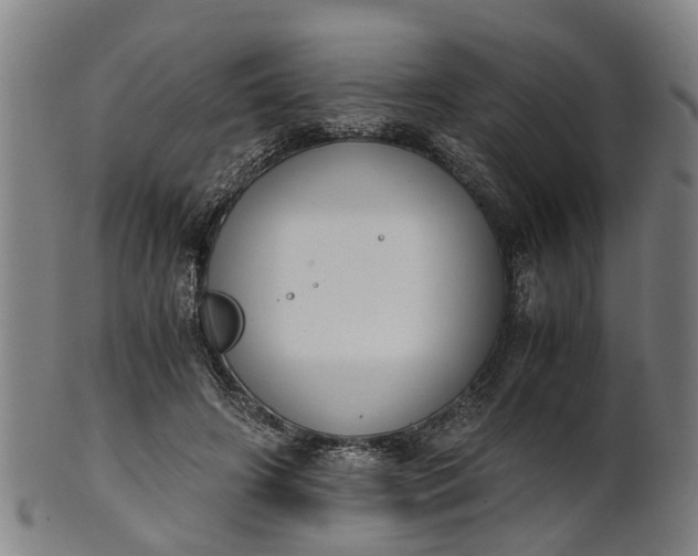 X0000101660498200807241421