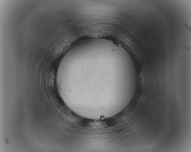 X0000101660499200807241421