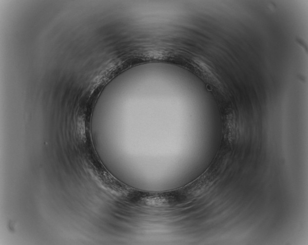 X0000101660500200807241421