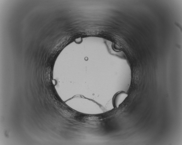 X0000101660501200807241421