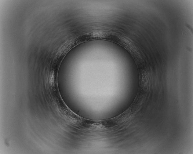 X0000101660502200807241421