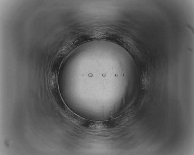 X0000101660503200807241421