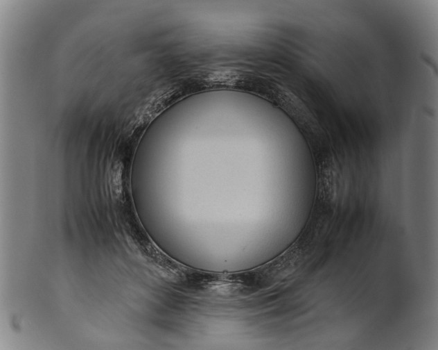 X0000101660504200807241420