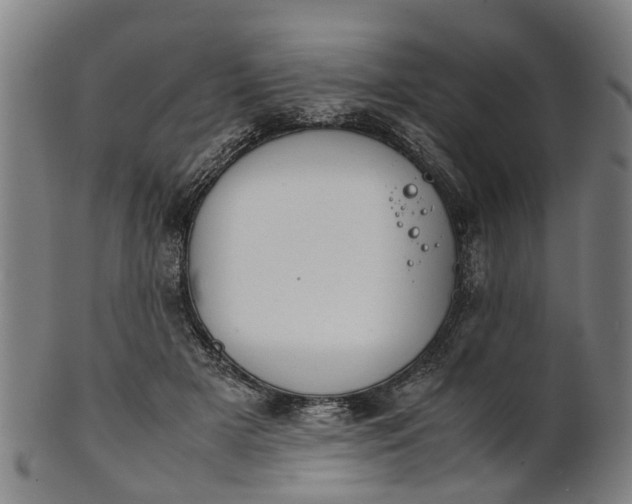 X0000101660505200807241420