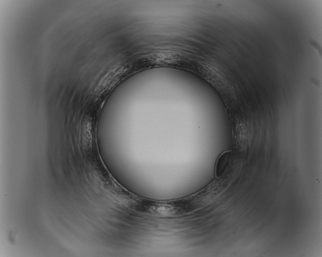 X0000101660506200807241420