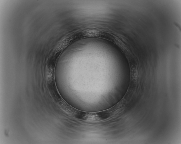 X0000101660507200807241420