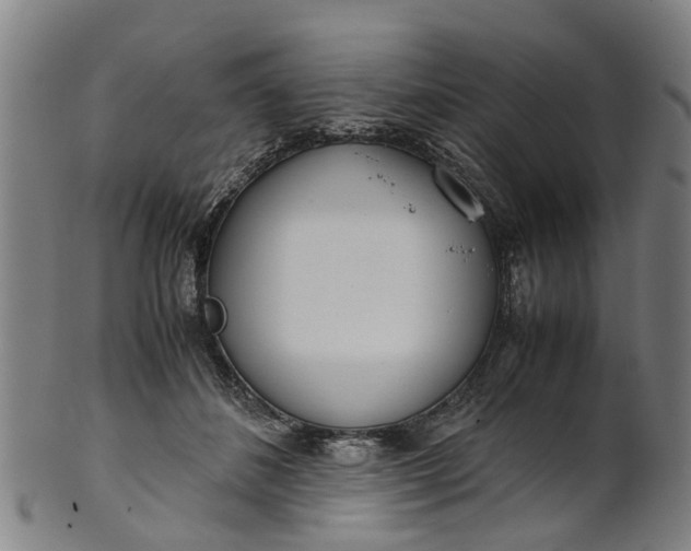 X0000101660508200807241420