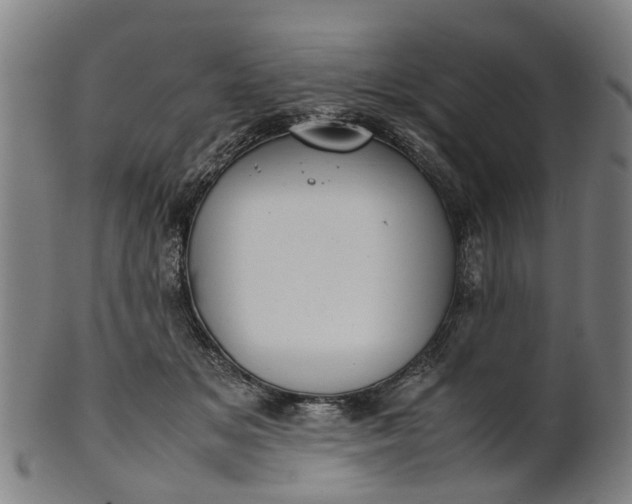 X0000101660509200807241420