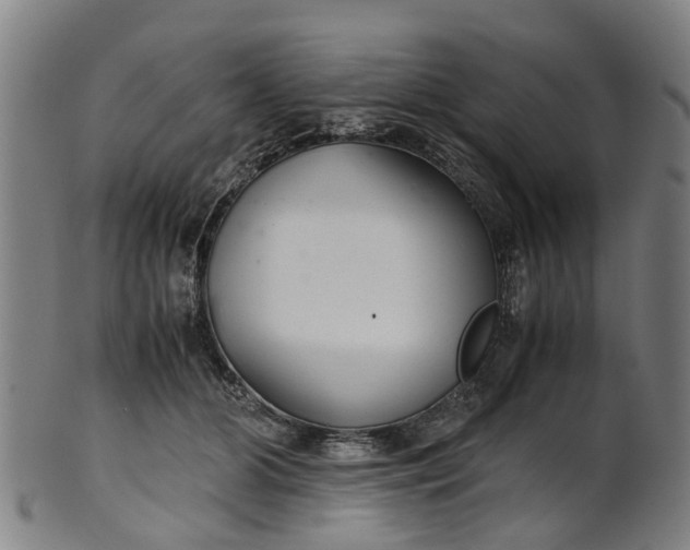 X0000101660510200807241420