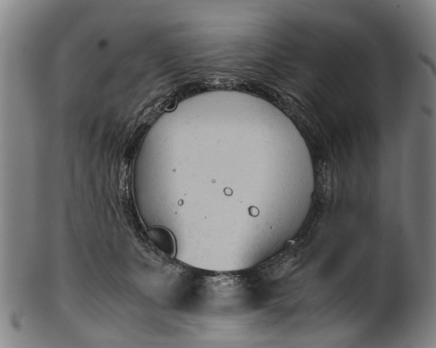 X0000101660511200807241420