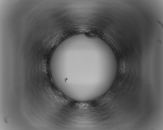 X0000101660512200807241420