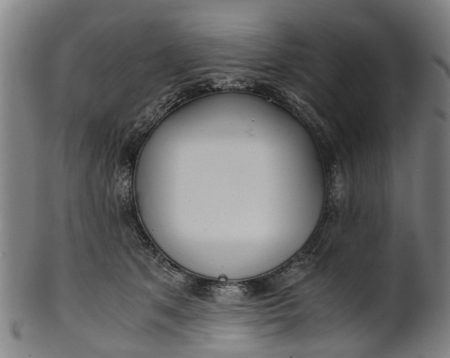 X0000101660513200807241420