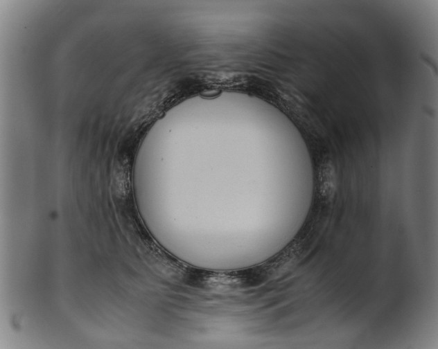 X0000101660515200807241420