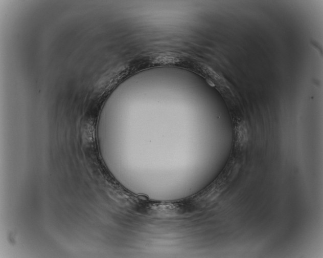 X0000101660517200807241420