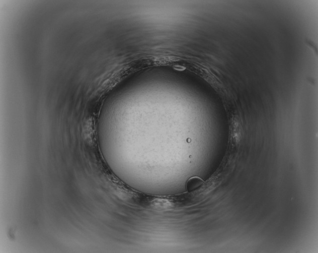 X0000101660519200807241420