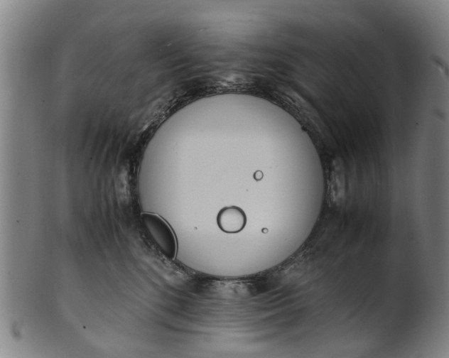 X0000101660520200807241420