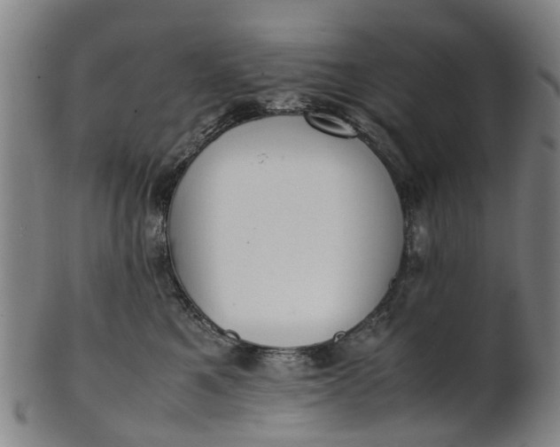 X0000101660521200807241420