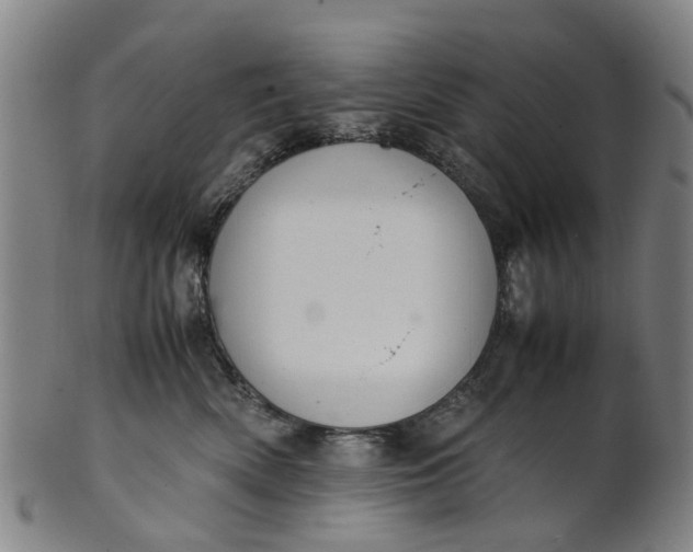 X0000101660522200807241420