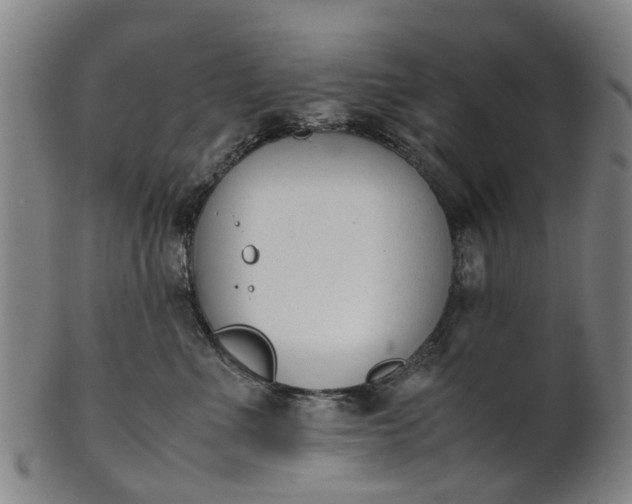 X0000101660523200807241420