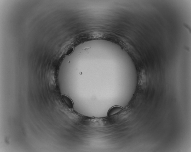 X0000101660524200807241420