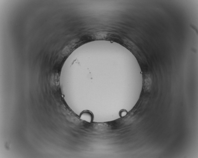 X0000101660525200807241420