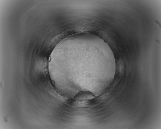 X0000101660526200807241420