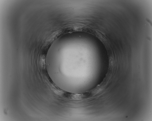 X0000101660527200807241420