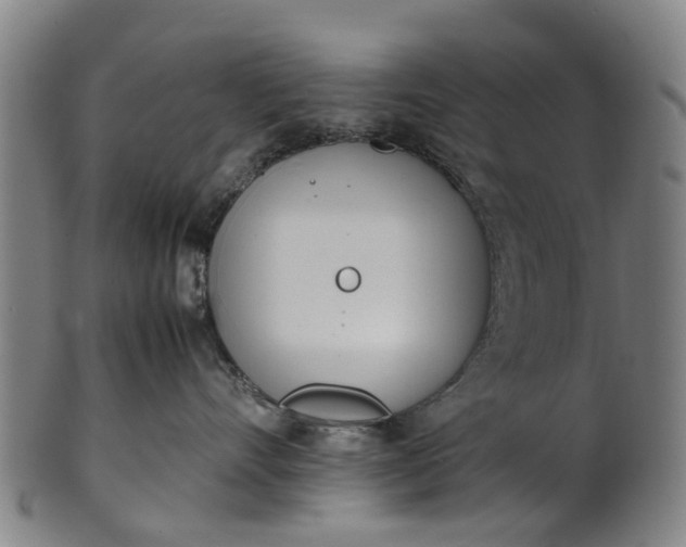 X0000101660528200807241420