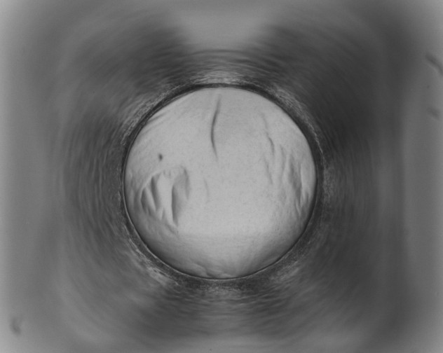 X0000101660529200807241419