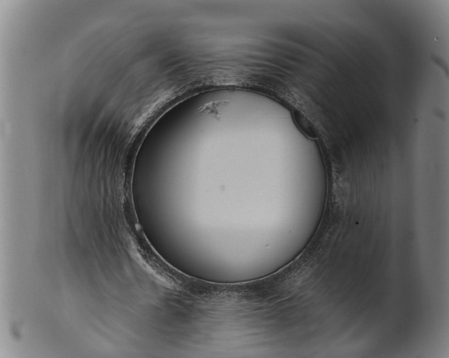 X0000101660530200807241419