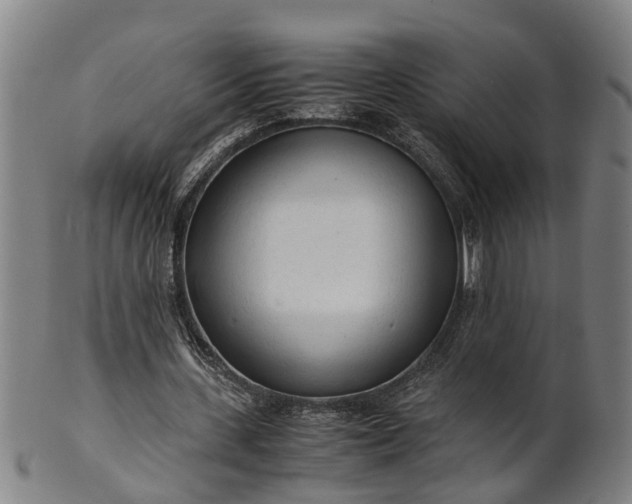 X0000101660531200807241419