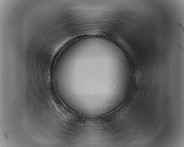 X0000101660532200807241419