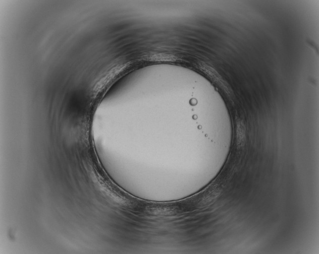 X0000101660533200807241419