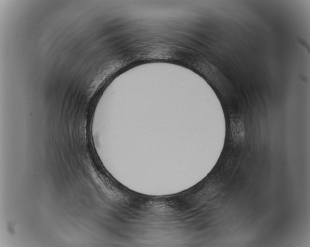 X0000101660534200807241419