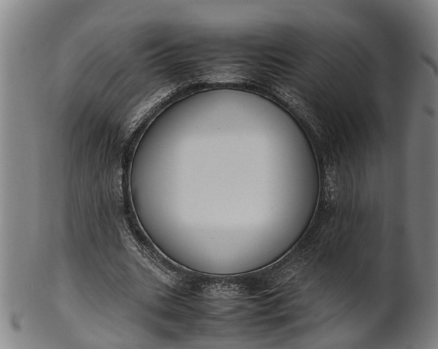 X0000101660535200807241419