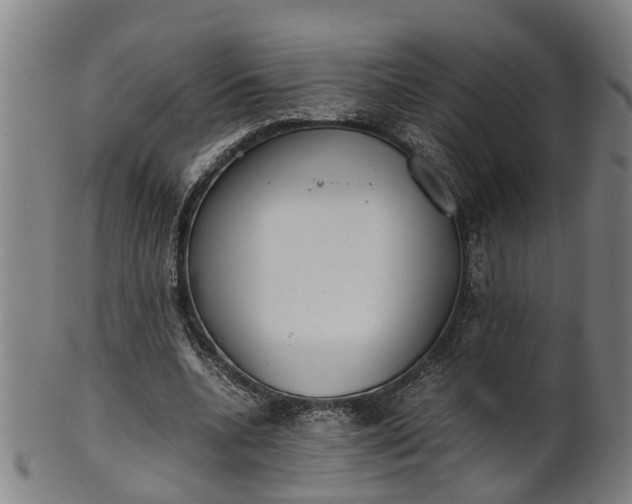 X0000101660536200807241419