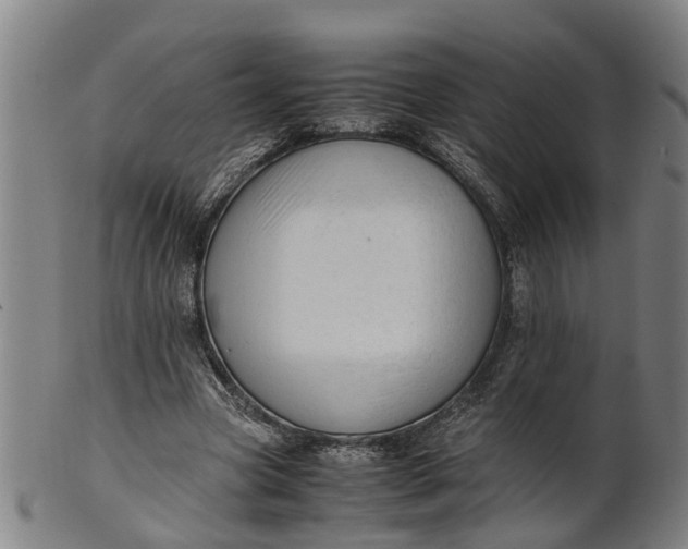 X0000101660537200807241419