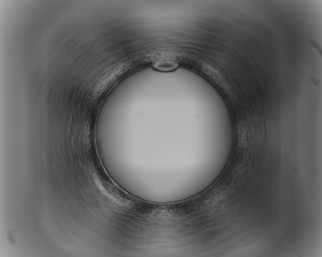 X0000101660538200807241419