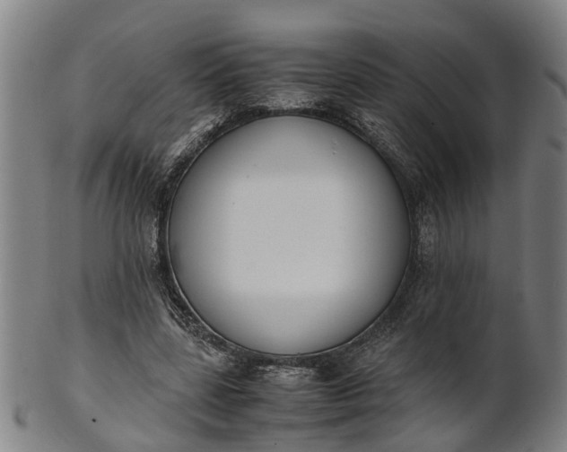 X0000101660539200807241419