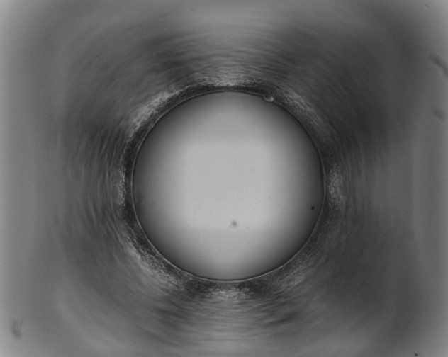 X0000101660540200807241419