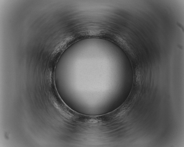 X0000101660542200807241419