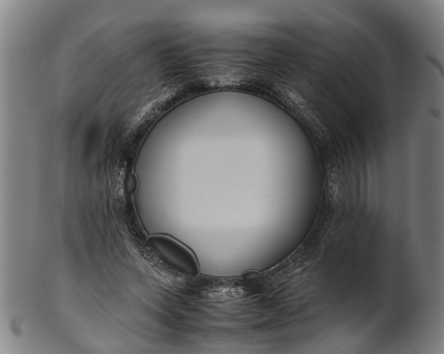 X0000101660543200807241420